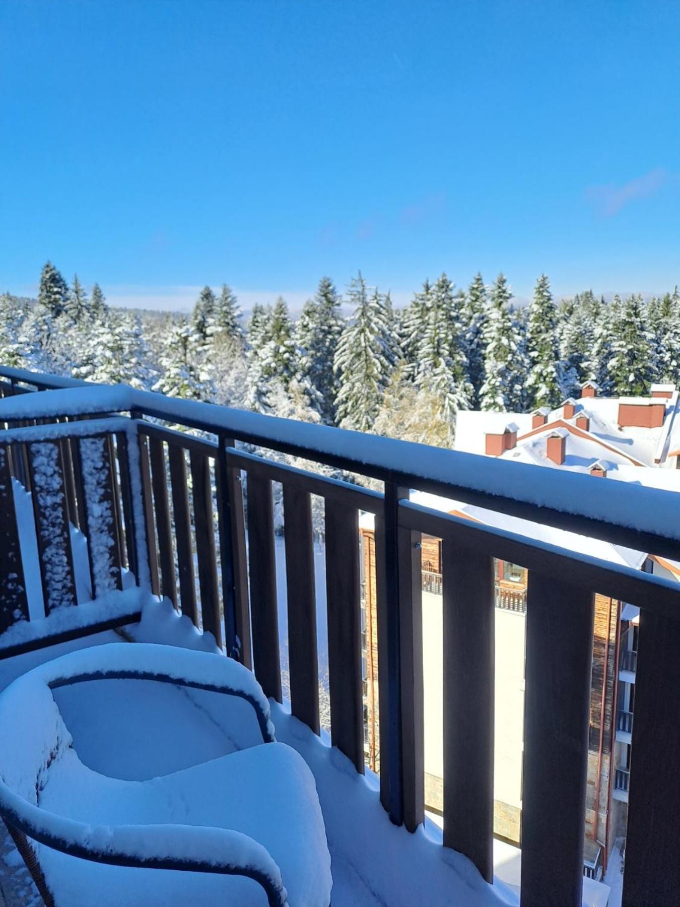 Premium Apartment In Borovets Gardens Complex エクステリア 写真
